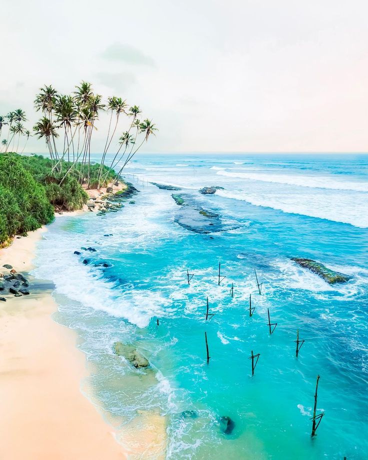 Arunachal/Tour/image