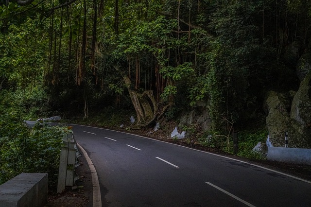 Arunachal/Tour/image