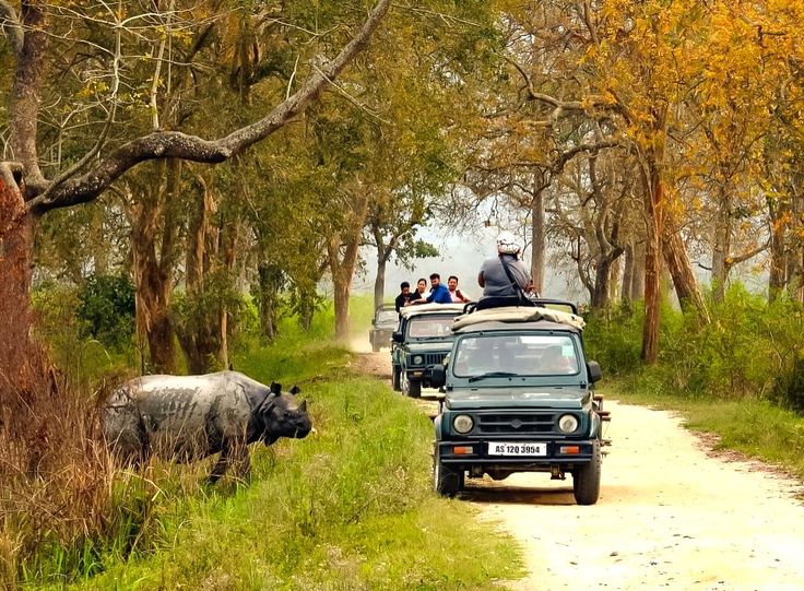 Arunachal/Tour/image