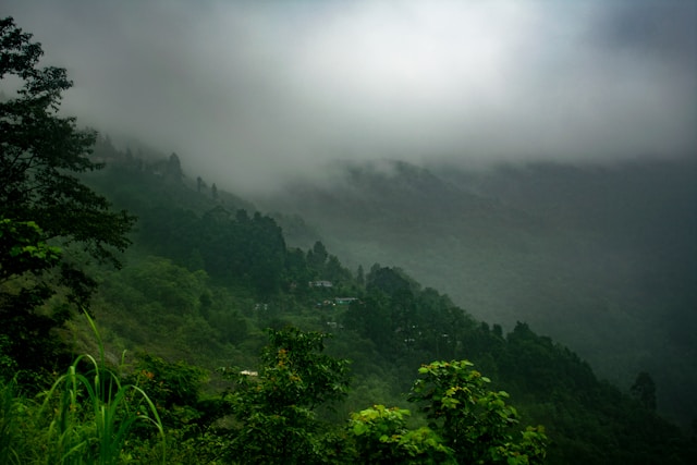 Arunachal/Tour/image